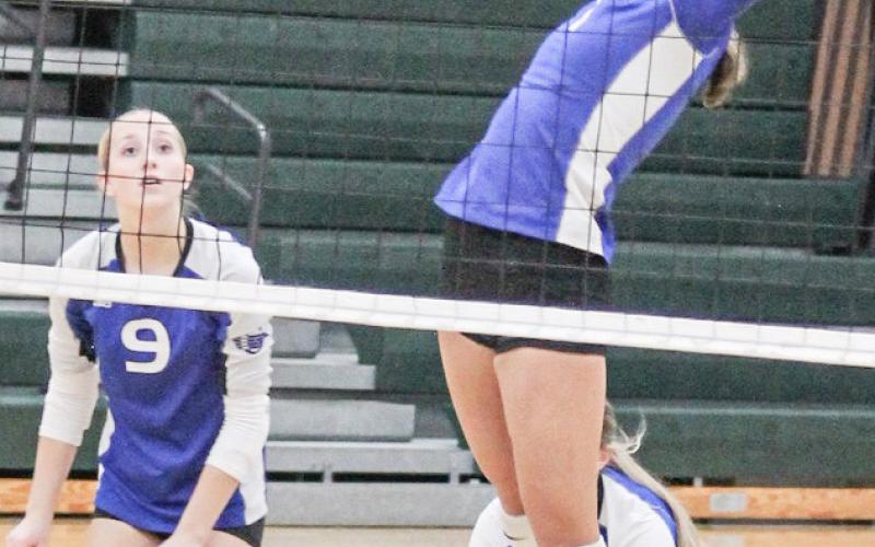 The Gladwin volleyball team spiked Meridian and Pinconning in Jack Pine Conference action last week.