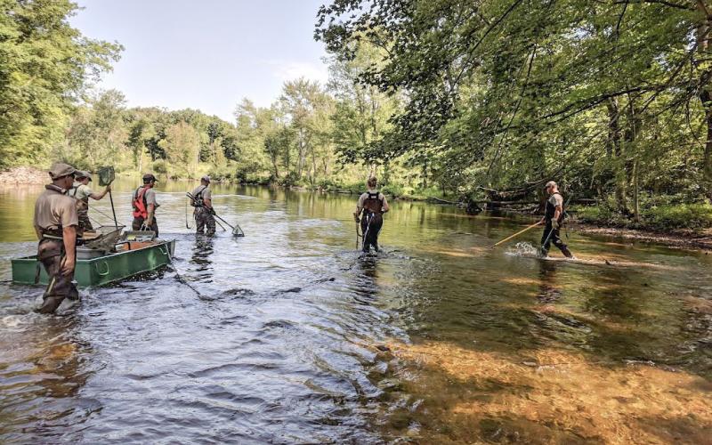 DNR inland lake and stream surveys are critical to managing Michigan fisheries