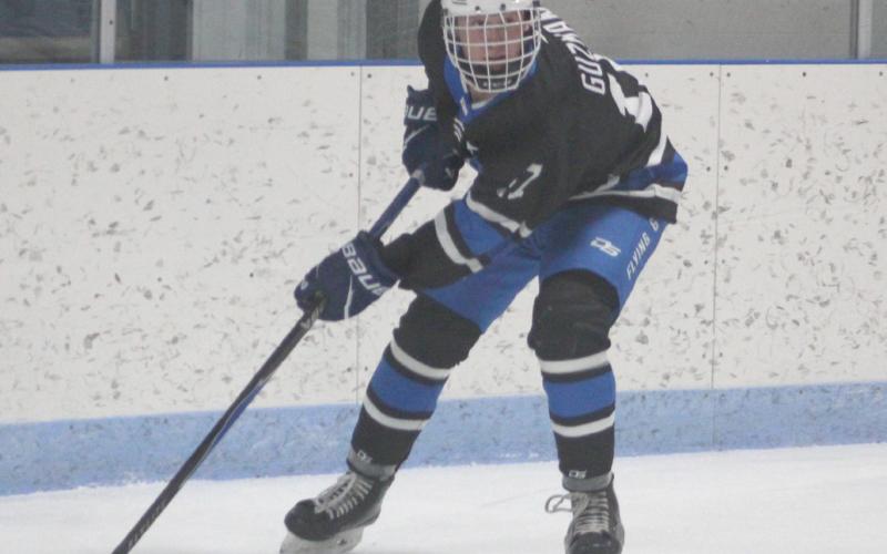 Braeden Guzman and the Gladwin hockey team skated to a 4-0 victory over Tawas last week before falling to Rochester Hills Stoney Creek.