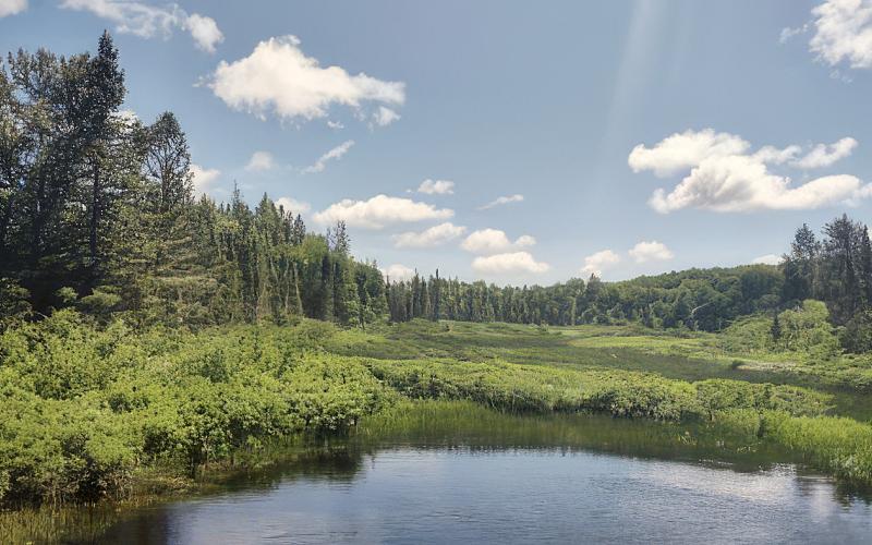 The property extends over 73,000 acres and thanks to grant funding, will now be protected and available for Michiganders to enjoy for generations.