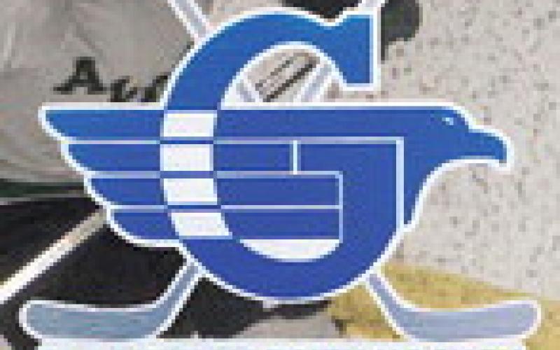 Gladwin hockey team learns its lessons after successful first season
