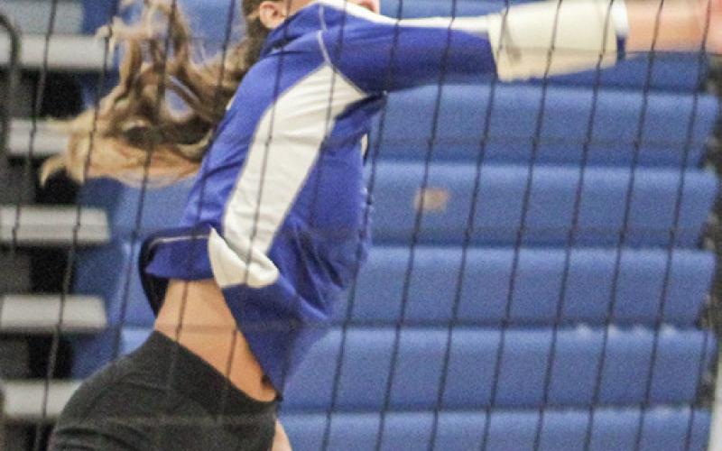 Ansley Mausolf