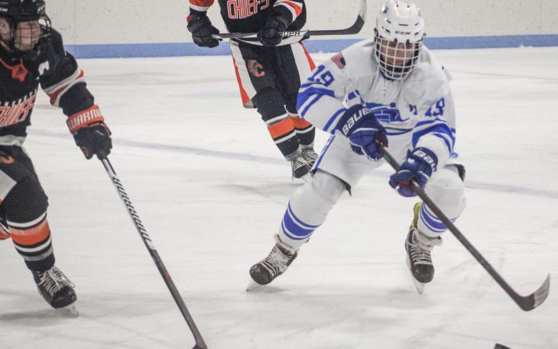 Gladwin hockey skates into D-3 regional with two more victories