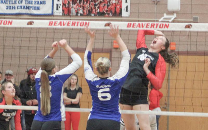 Beaverton’s Taryn Roberts goes up for a kill last Wednesday night when the Beavers battled rival Gladwin.