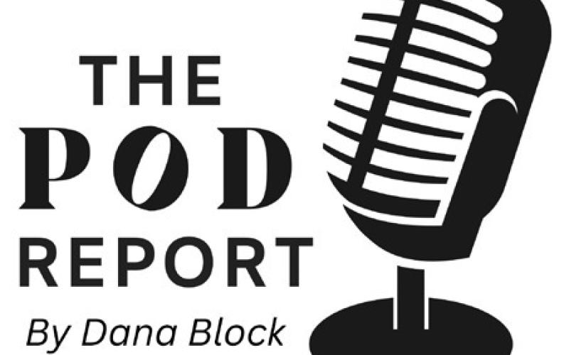 Top New Podcasts of 2024