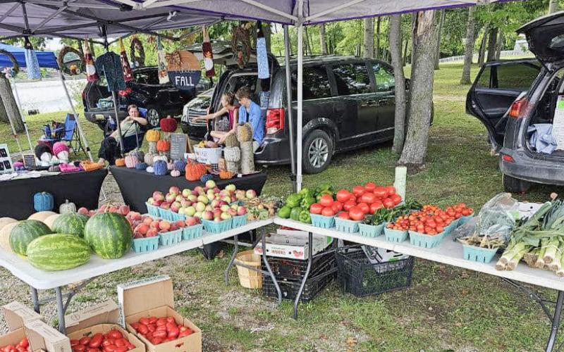 The Beaverton Farmers Market is open May 5 through October 27, on Fridays 2-6 p.m. and is located at Ross Lake Park, 435 Lang Road, in Beaverton. Check them out.