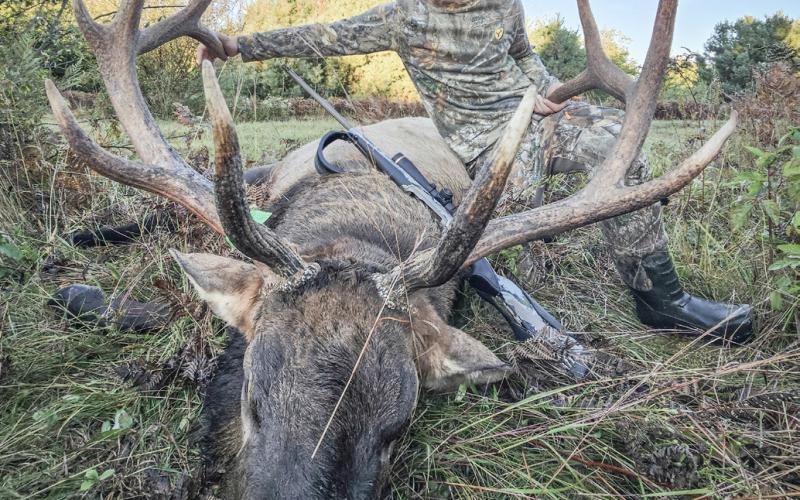 ELK TAKEN