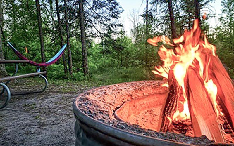 Leave firewood at home