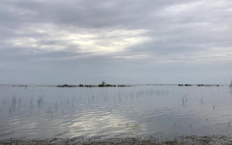Changes in rain patterns create water challenges for farmers