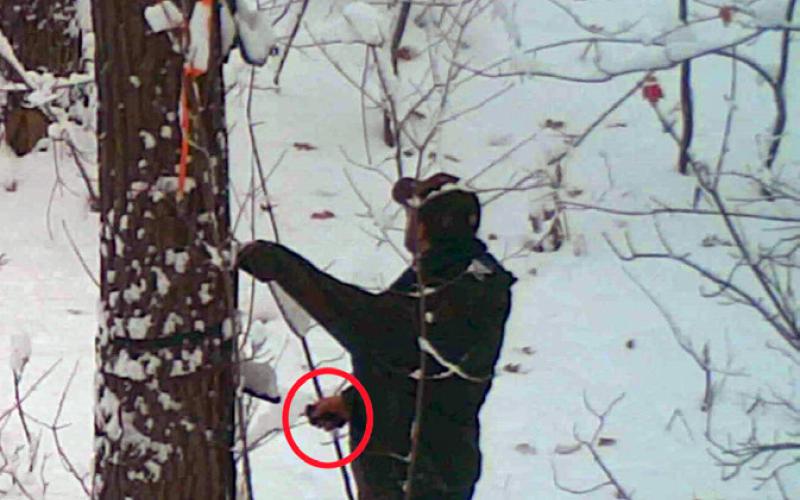 Footage from a trail camera shows Thomas Steele III, 23, of Chelsea, intentionally cutting the straps on a hunter’s tree stand located on state hunting land in Marquette County. Inset photo, a close-up view shows a cut strap from the tree stand on state hunting land in Marquette County.