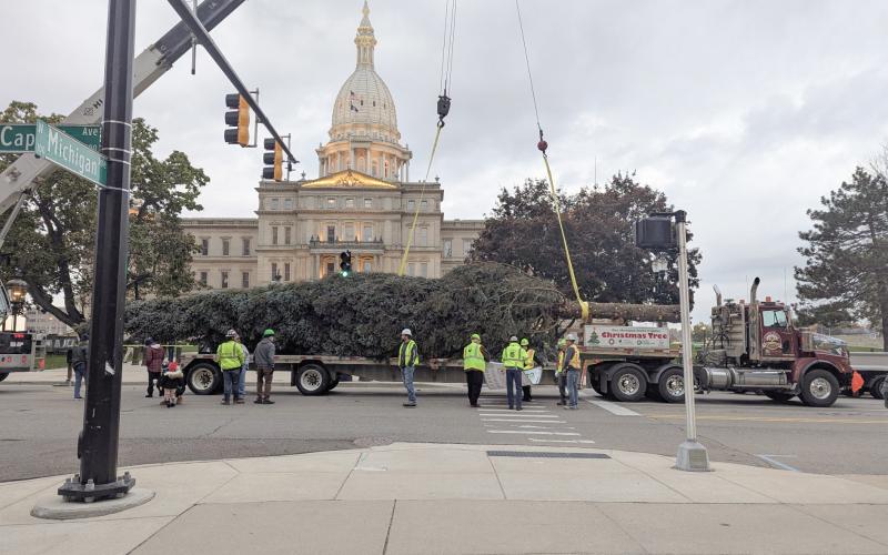 Local business delivers state Xmas tree to Capitol