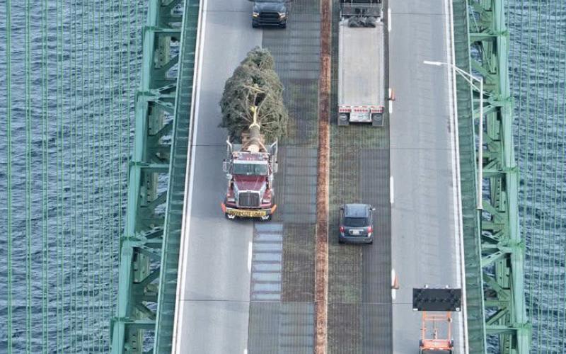 Local business delivers state Xmas tree to Capitol