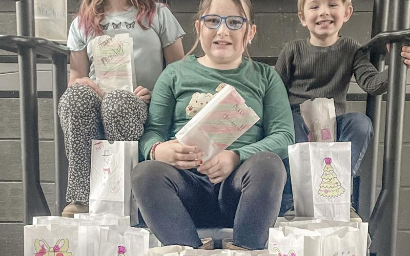 Pictured are Caroline, Logan, and Lily, the spirited children of Tyler and Angela McLaren. They are also the cherished grandchildren of Tina and Mike Haines, Kim and Pat Savage, and Mark and Amy Baker, all proud residents of Beaverton.