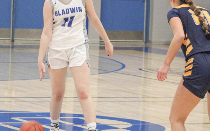 Gladwin’s Laura Elorriaga surveys the defense during last weeks loss to visiting Shepherd.