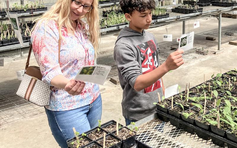 GLADWIN STUDENTS HOLD 25TH ANNUAL PLANT SALE