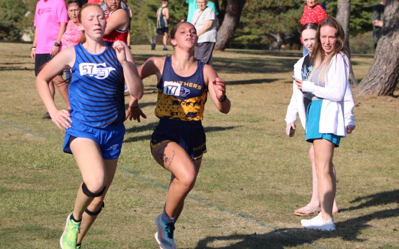 Gladwin’s Alanis Povey ran a career best time of 20:43.13 in a meet last Wednesday and went on to finish fourth at the Northern Michigan Meet of Champions Saturday in Cadillac.