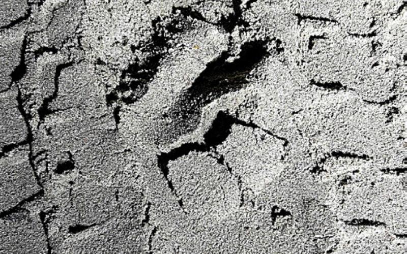 An officer tracked a missing tuber’s footprints along the Au Sable River near Roscommon and into the woods before the man was located by emergency responders.