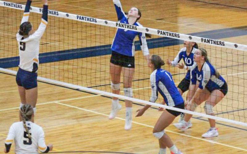 Gladwin’s Ansley Mausolf rises up to spike the ball during a recent match. The Flying G’s beat Bullock Creek last Wednesday.