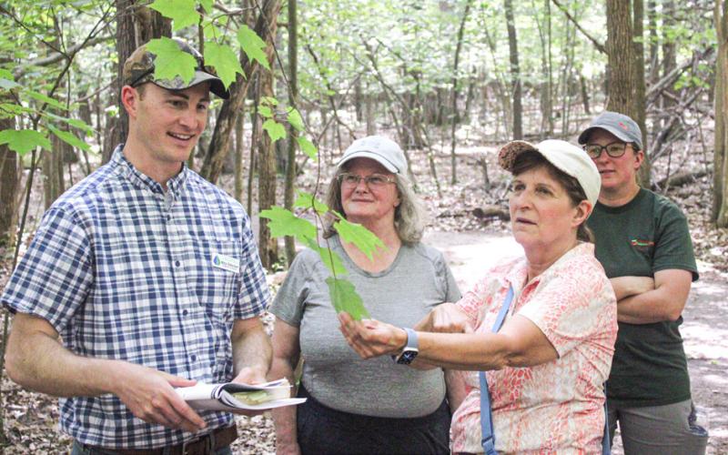 New local forester Mike Dittenber leaves nothing to chance when helping people identify a leaf at the Gladwin County Recreation Area last week.