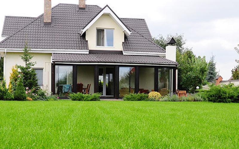How to Grow a Greener Lawn