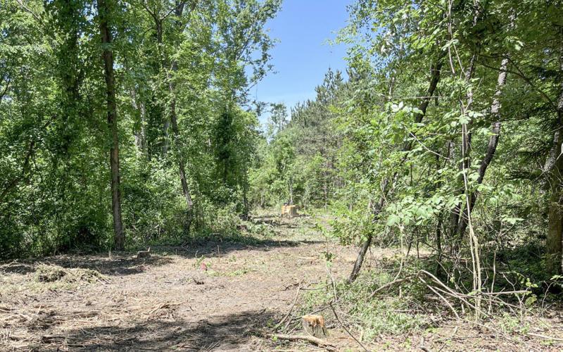 Trail of Two Cities begin extension construction
