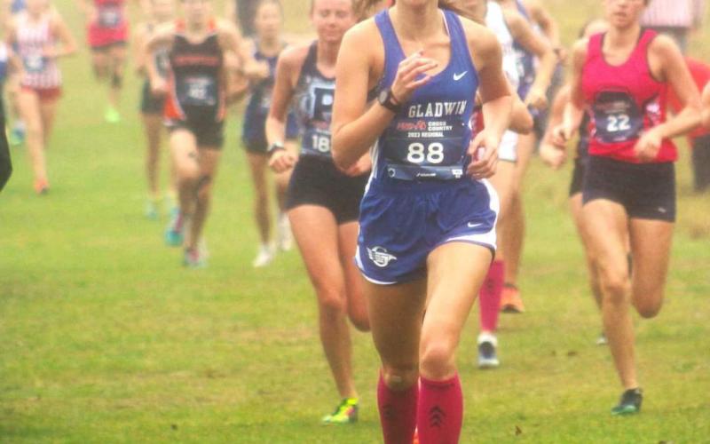 Leading ladies earn state meet wings