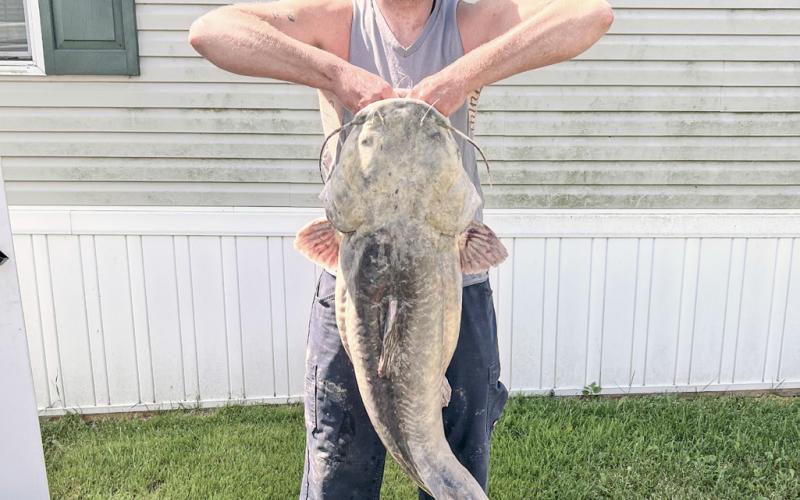 Codie Carlson, of Newport, Michigan, was bowfishing Plum Creek in the early-morning hours of Sunday, June 29, when he brought in a new state-record flathead catfish weighing 64.46 pounds in Monroe County.