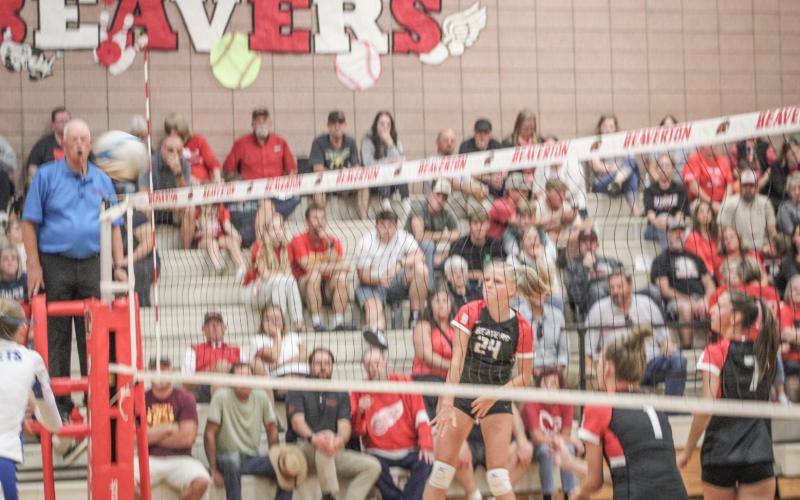 Beaverton’s Harlie Lamson pounds one down during a recent victory for the Beavers, who are off to a 2-0 start in Jack Pine Conference play.