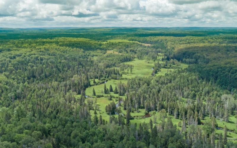 Aerial view of the Black River Ranch forest, a Forest Legacy Program-enrolled property bordering the Pigeon River Country State Forest in Michigan’s northern Lower Peninsula.