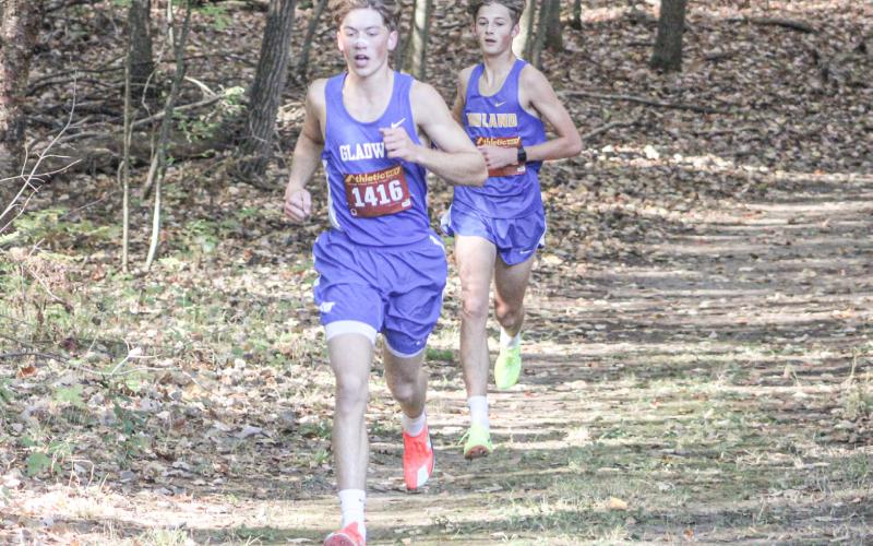 Seth Mead ran off with the gold medal in a school record time of 15:25.8 at the Northern Michigan Meet of Champions in Cadillac.