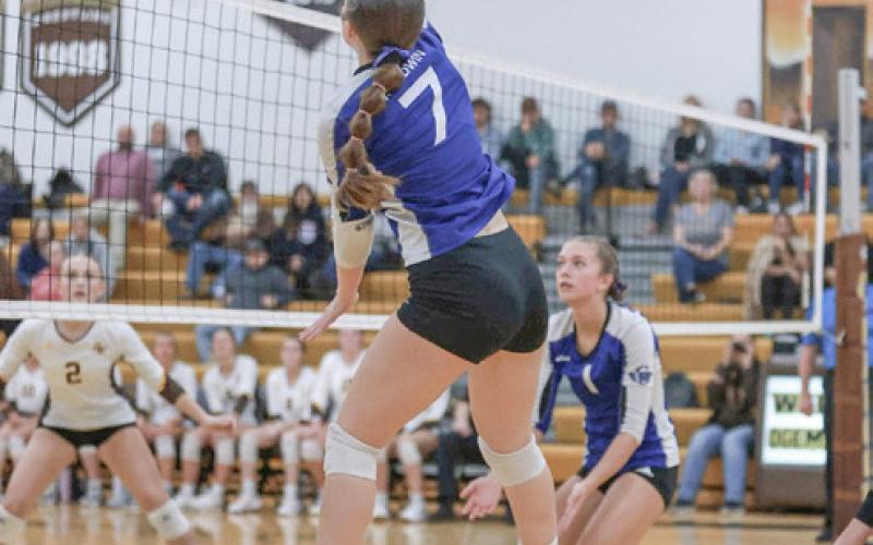 Gladwin falls in Division 2 volleyball district opener