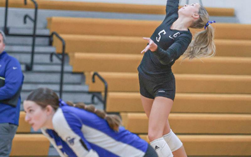 Gladwin falls in Division 2 volleyball district opener