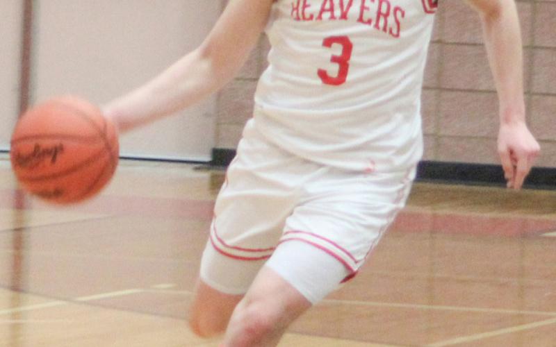 Freshman Taryn Roberts and junior Ian Roberts gave Beaverton a set of First Team All-State siblings when the Basketball Coaches Association of Michigan named each to its Division 3 honor squad.