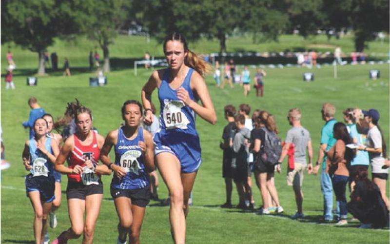 Gladwin Cross Country competes at MSU
