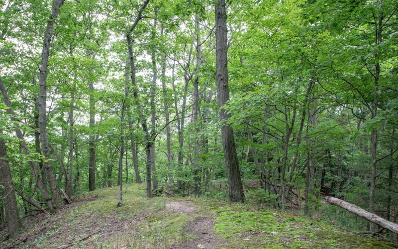 Follow updates on the state land review process at Michigan.gov/PublicLands.