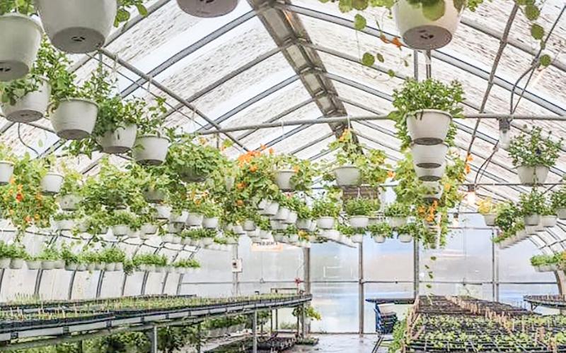 GHS Plant Sale upcoming