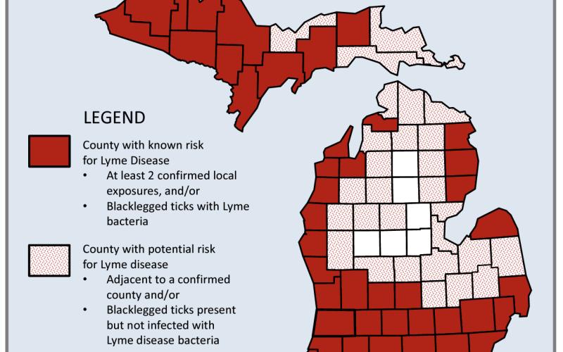 Bad year predicted for ticks carrying Lyme disease