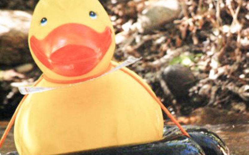 Hospice of Gladwin Area celebrates Great Cedar River Duck Race