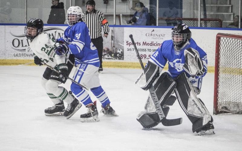 Gladwin hockey team falls in Division 3 regional final