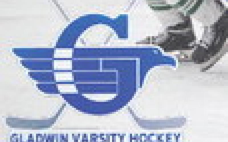 Gladwin hockey team falls in Division 3 regional final