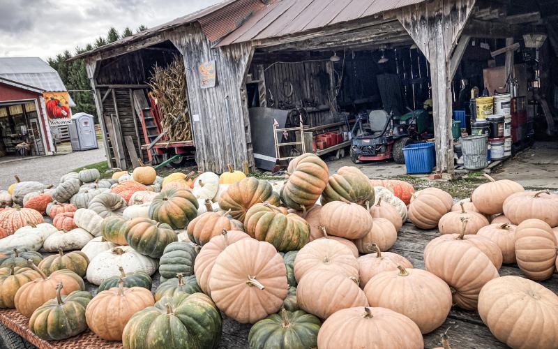 Maxwell’s Pumpkin Farm closing after 53 years