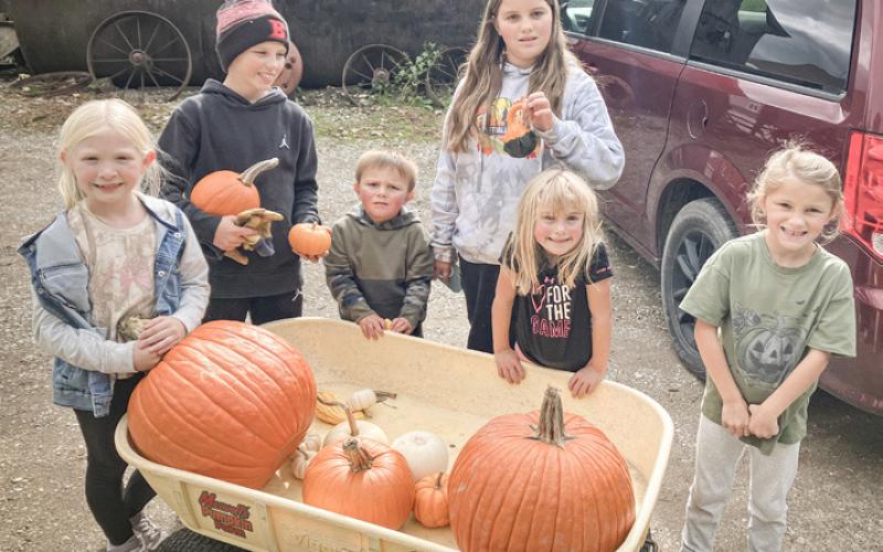 Maxwell’s Pumpkin Farm closing after 53 years