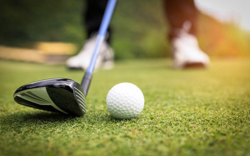 Two Gladwin golfers earn JPC honors