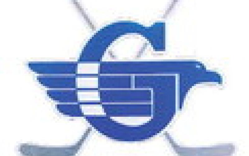 Gladwin hockey team splits two games at showcase