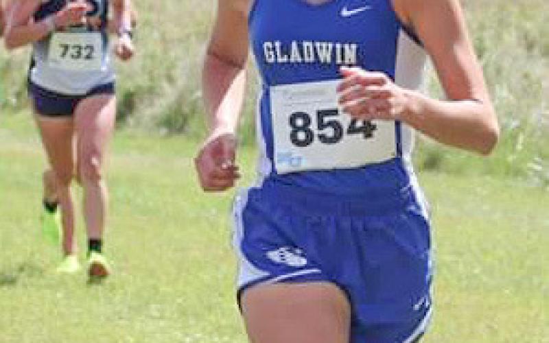 Gladwin’s Robinson races up the charts at Northwood Invite