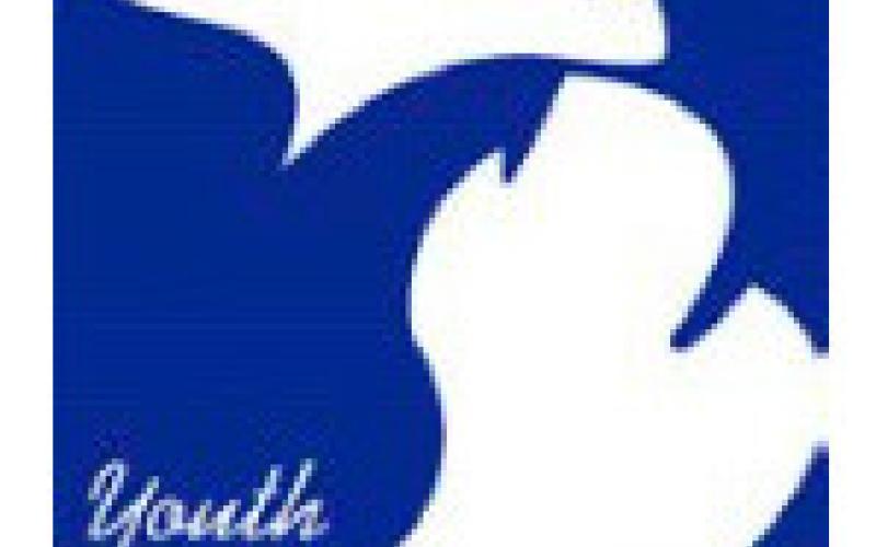 Michigan Youth Livestock Scholarship Fund now accepting applications