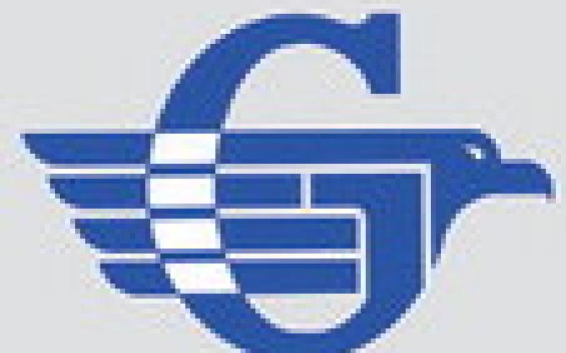 Alt Text for Image