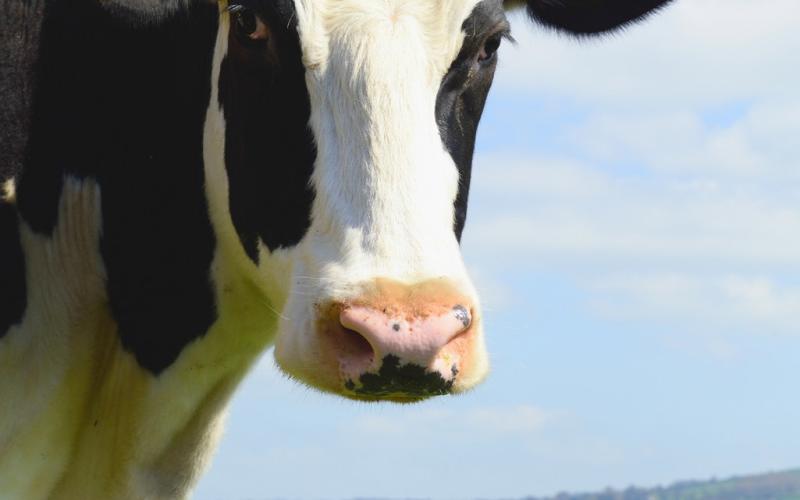 MDARD expands regenerative agriculture work with investment