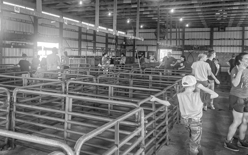 Gladwin County 4-H’ers set up barns at the fairgrounds June 24-25 in preparation for the fair July 8-16. Carnival rides go from July 11-15. The parade is on July 9, 5 p.m, going through Gladwin.