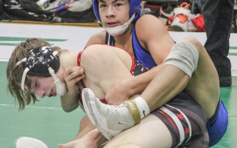 Seven local wrestlers qualify for Division 3 state meet at Ford Field
